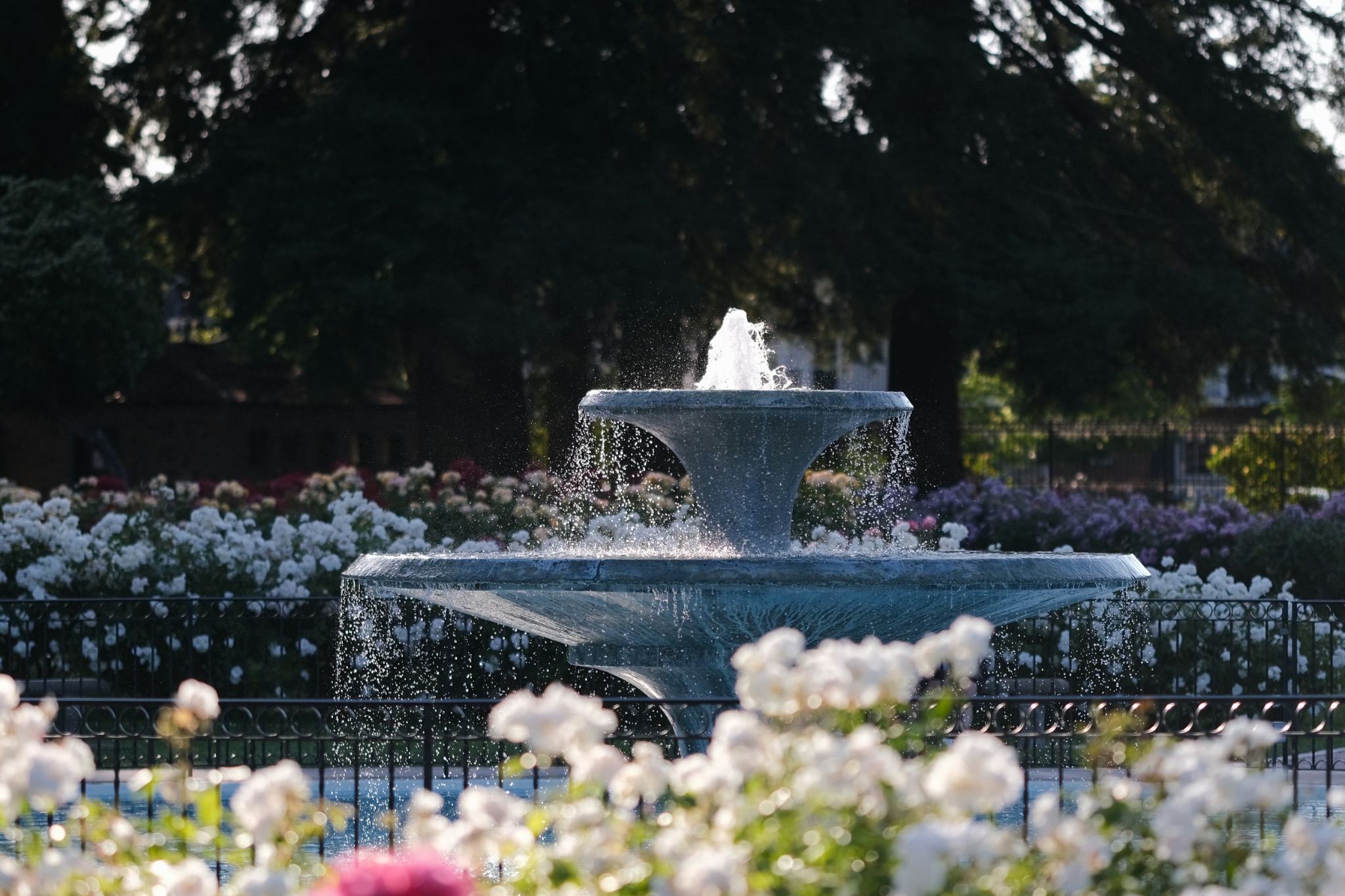 Garden fountain surrounded by flowers